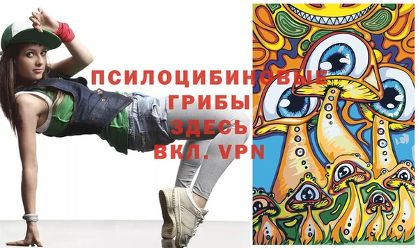 гидропоника Покачи