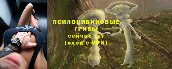 стафф Валдай