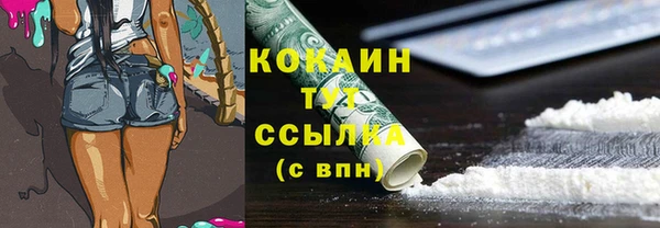 крисы Пестово