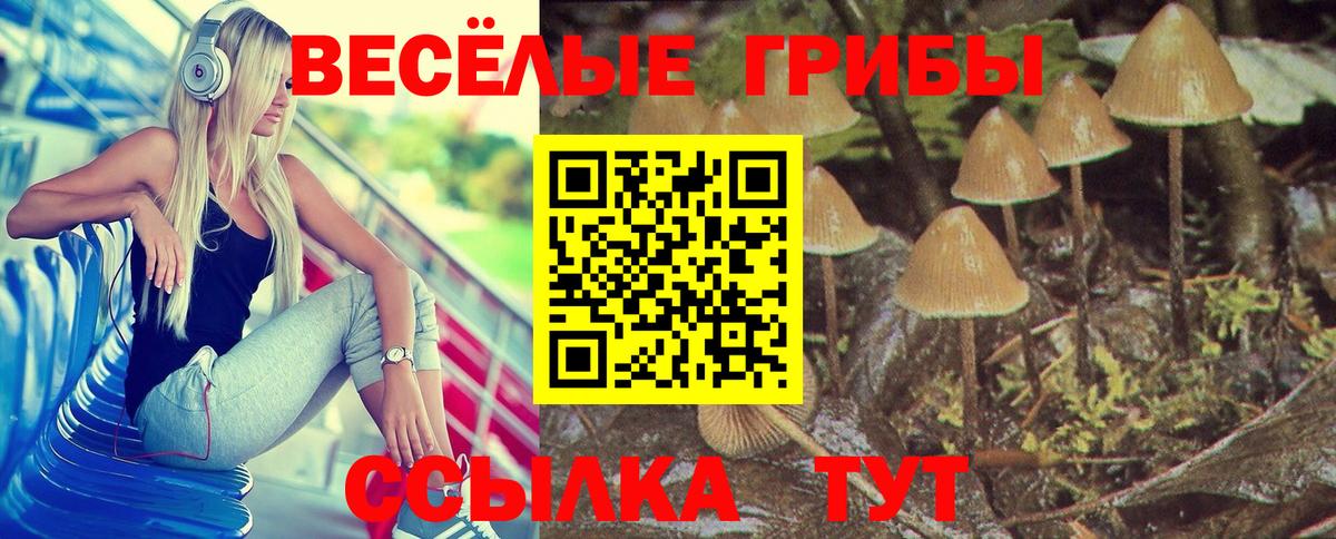 Гашиш Губаха